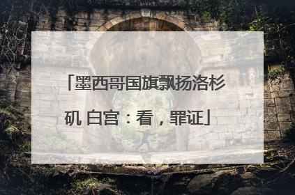 墨西哥国旗飘扬洛杉矶 白宫：看，罪证