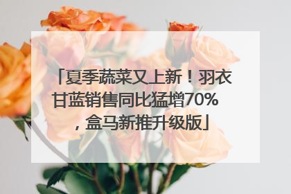 夏季蔬菜又上新！羽衣甘蓝销售同比猛增70%，盒马新推升级版