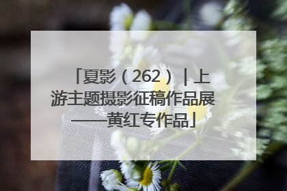夏影（262）｜上游主题摄影征稿作品展——黄红专作品