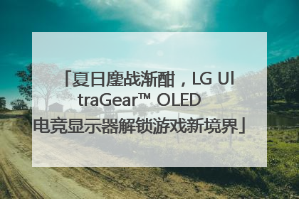 夏日鏖战渐酣，LG UltraGear™ OLED电竞显示器解锁游戏新境界