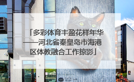 多彩体育丰盈花样年华——河北省秦皇岛市海港区体教融合工作掠影
