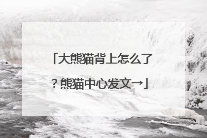 大熊猫背上怎么了？熊猫中心发文→