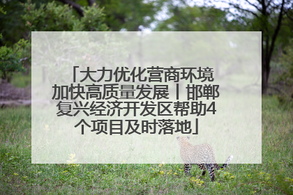大力优化营商环境 加快高质量发展丨邯郸复兴经济开发区帮助4个项目及时落地