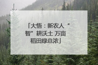 大悟：新农人“智”耕沃土 万亩稻田绿意浓