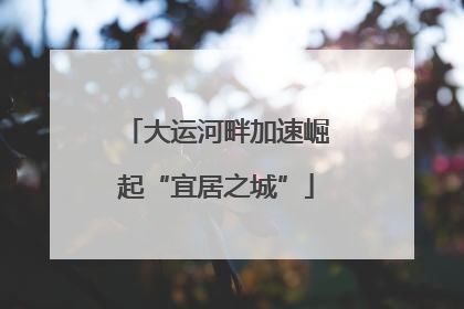 大运河畔加速崛起“宜居之城”