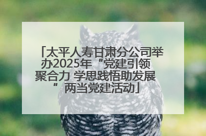 太平人寿甘肃分公司举办2025年“党建引领聚合力 学思践悟助发展”两当党建活动