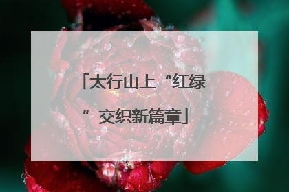 太行山上“红绿”交织新篇章