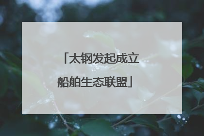 太钢发起成立船舶生态联盟