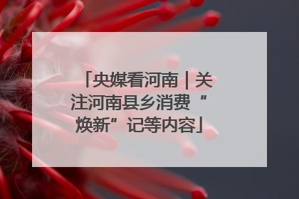 央媒看河南｜关注河南县乡消费“焕新”记等内容