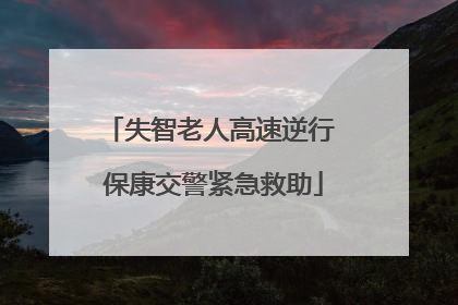 失智老人高速逆行 保康交警紧急救助