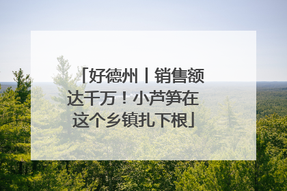 好德州丨销售额达千万！小芦笋在这个乡镇扎下根