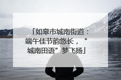 如皋市城南街道：端午佳节韵悠长，“城南田语”梦飞扬