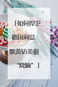 如何捍卫德国利益 默茨访美很“烧脑”