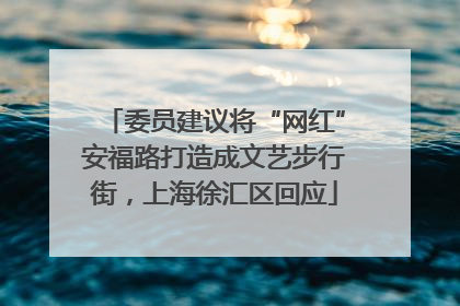 委员建议将“网红”安福路打造成文艺步行街，上海徐汇区回应