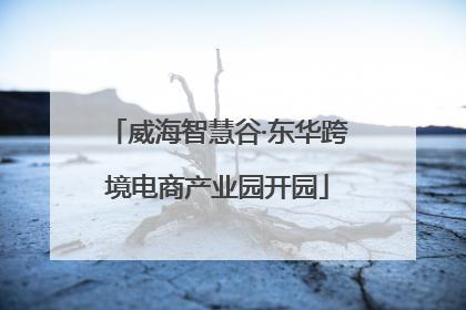 威海智慧谷·东华跨境电商产业园开园