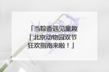 当粽香遇见童趣｜北京动物园双节狂欢指南来啦！