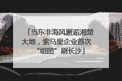 当东非海风邂逅湘楚大地，索马里企业首次“组团”刷长沙