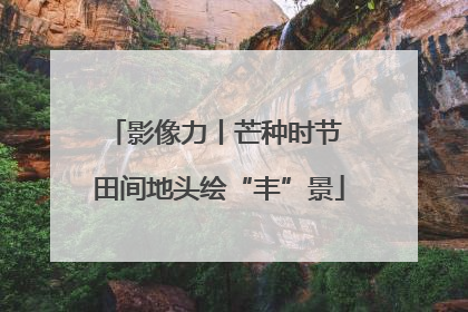 影像力丨芒种时节 田间地头绘“丰”景