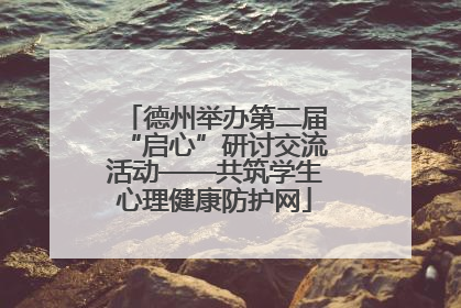德州举办第二届“启心”研讨交流活动——共筑学生心理健康防护网