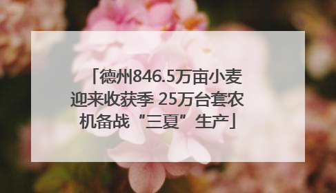 德州846.5万亩小麦迎来收获季 25万台套农机备战“三夏”生产