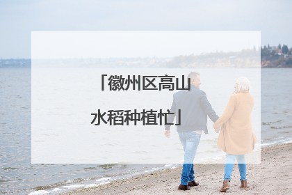 徽州区高山水稻种植忙