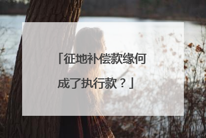 征地补偿款缘何成了执行款？
