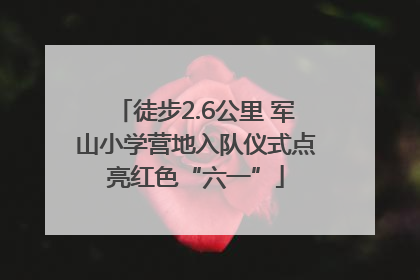 徒步2.6公里 军山小学营地入队仪式点亮红色“六一”