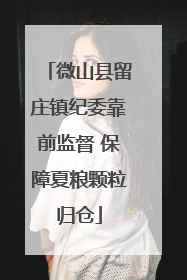 微山县留庄镇纪委靠前监督 保障夏粮颗粒归仓