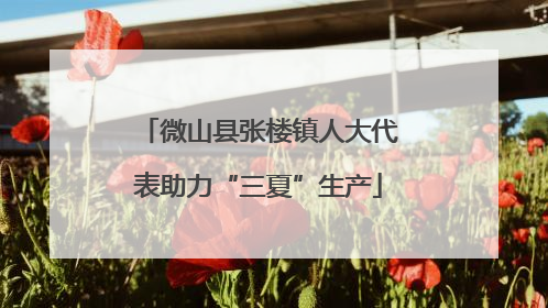 微山县张楼镇人大代表助力“三夏”生产