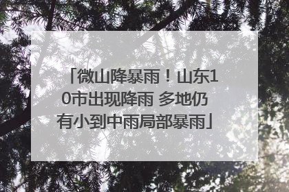 微山降暴雨！山东10市出现降雨 多地仍有小到中雨局部暴雨