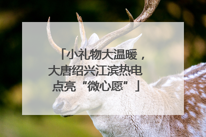 小礼物大温暖，大唐绍兴江滨热电点亮“微心愿”