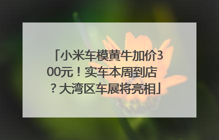 小米车模黄牛加价300元！实车本周到店？大湾区车展将亮相