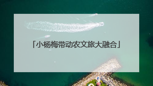小杨梅带动农文旅大融合