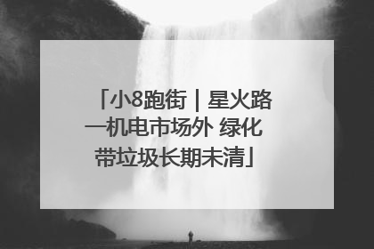 小8跑街｜星火路一机电市场外 绿化带垃圾长期未清