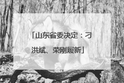 山东省委决定：刁洪斌、荣刚履新