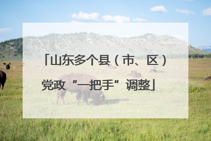 山东多个县（市、区）党政“一把手”调整