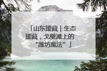 山东援藏｜生态援藏，戈壁滩上的“潍坊魔法”