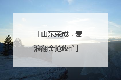 山东荣成：麦浪翻金抢收忙