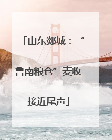 山东郯城：“鲁南粮仓”麦收接近尾声