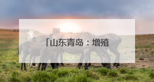 山东青岛：增殖放流 修复生态