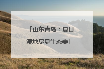 山东青岛：夏日湿地尽显生态美