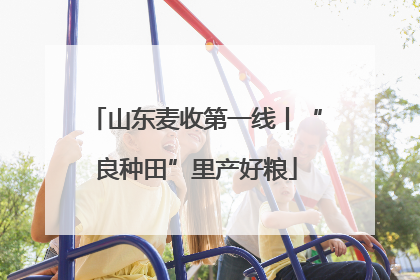 山东麦收第一线丨“良种田”里产好粮
