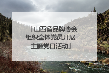 山西省品牌协会组织全体党员开展主题党日活动