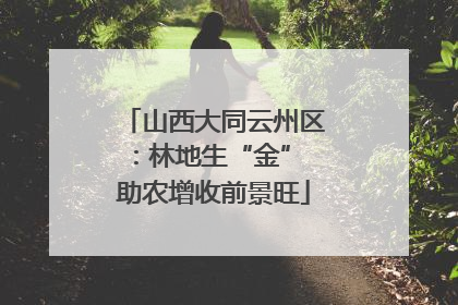 山西大同云州区：林地生“金” 助农增收前景旺