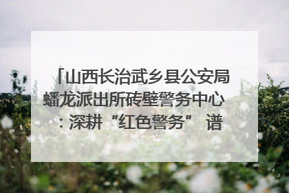山西长治武乡县公安局蟠龙派出所砖壁警务中心：深耕“红色警务” 谱写“平安答卷”