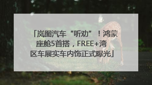 岚图汽车“听劝”！鸿蒙座舱5首搭，FREE+湾区车展实车内饰正式曝光