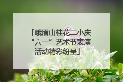 峨眉山桂花二小庆“六一”艺术节表演活动精彩纷呈