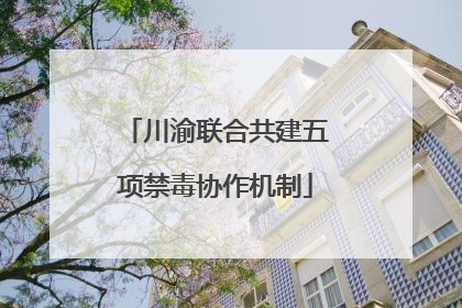 川渝联合共建五项禁毒协作机制