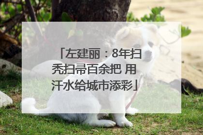 左建丽：8年扫秃扫帚百余把 用汗水给城市添彩