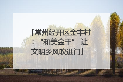 常州经开区金丰村：“和美金丰” 让文明乡风吹进门